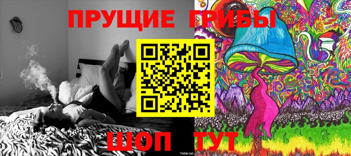 где купить наркоту  Вход с VPN  Псилоцибиновые грибы Psilocybe  Тавда  Псилоцибиновые грибы Cubensis 
