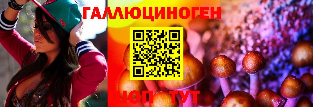 Галлюциногенные грибы Magic Shrooms Тавда